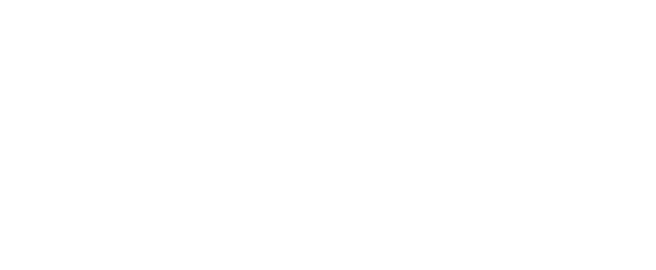 Insane Architects AS