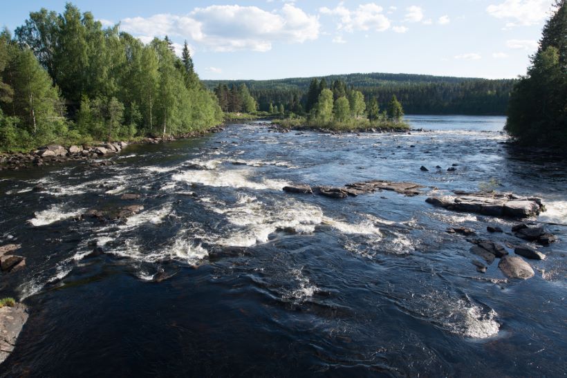 arkitekt Elverum