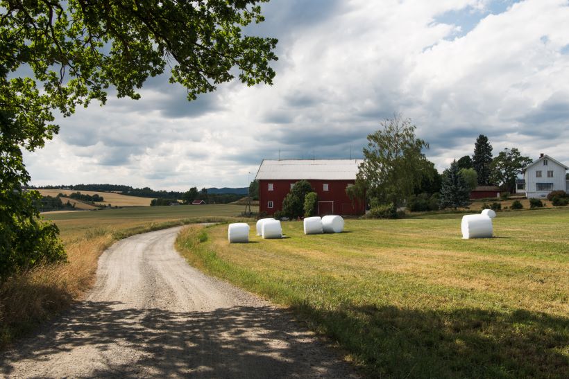 arkitekt Hamar