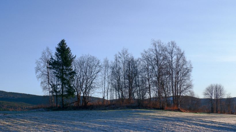 arkitekt Hurdal